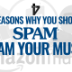 Spam Your Music